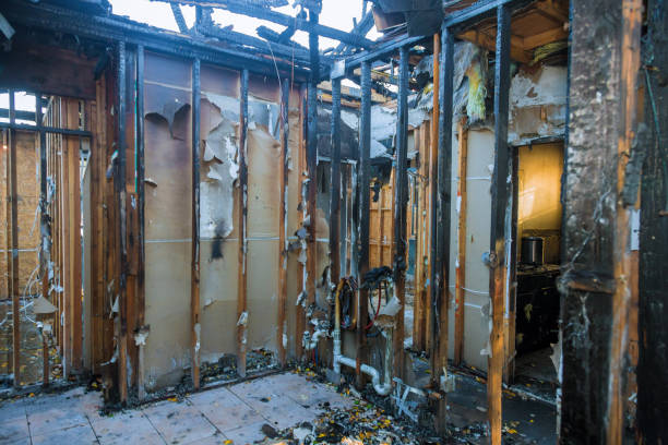 Professional Fire Damage Removal technician working in Aldie, VA